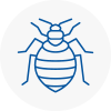 Bed Bug Extermination In Giffnock